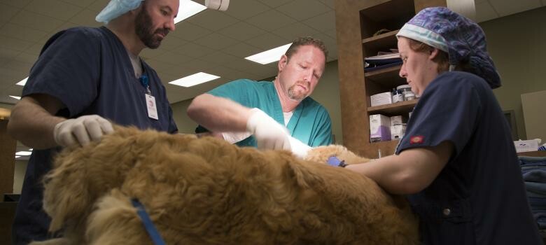 Sharp Diagnosis Gives Durham Vet His Voice Back